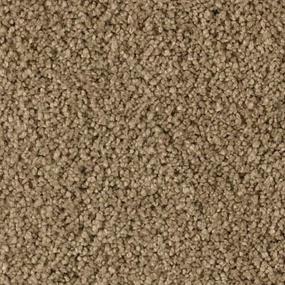 Textured Saxony Tinderbox Brown Carpet