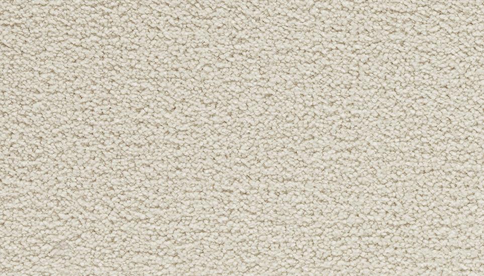 Textured Saxony Camelot Beige/Tan Carpet