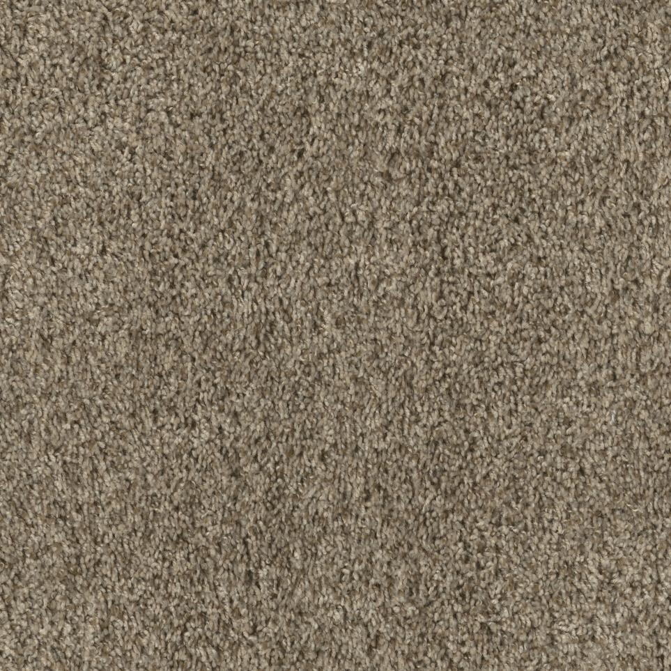 Texture Sienna  Carpet