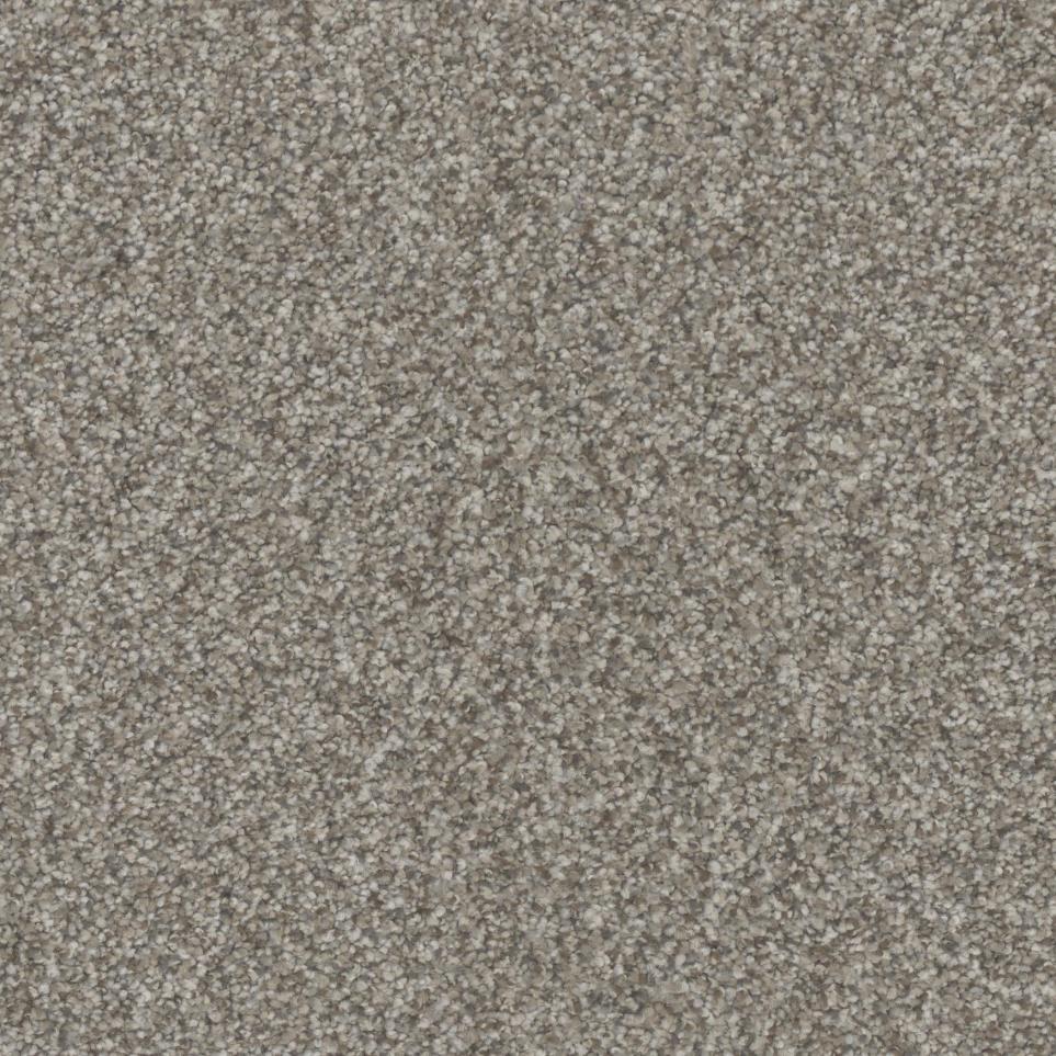 Texture Show Place Beige/Tan Carpet