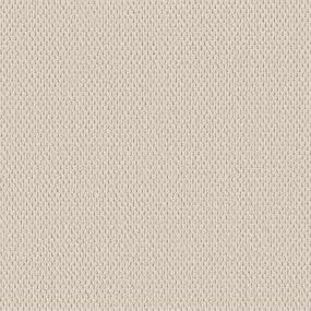 Berber Boutique Beige/Tan Carpet