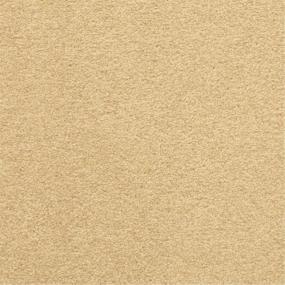 Casual Texture Marvel Beige/Tan Carpet
