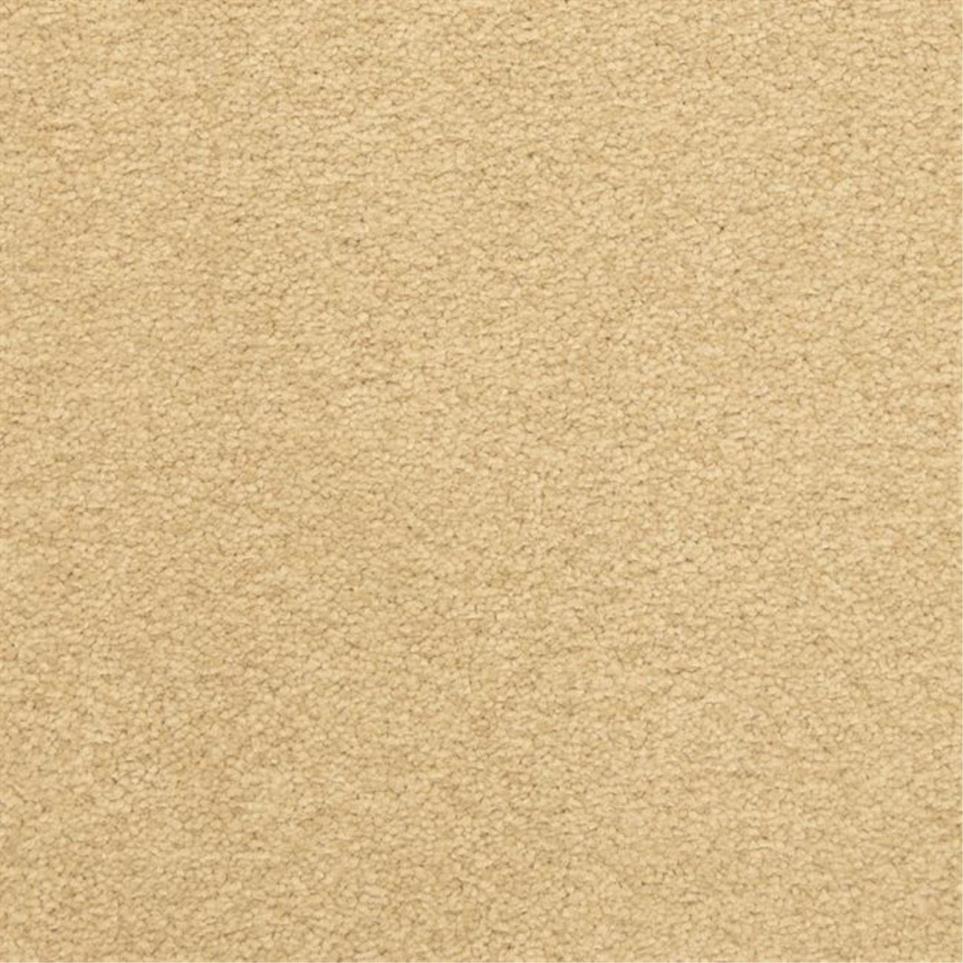 Casual Texture Marvel Beige/Tan Carpet