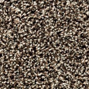 Textured Saxony Bercamont Brown Carpet