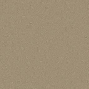 Texture Cork Board Beige/Tan Carpet