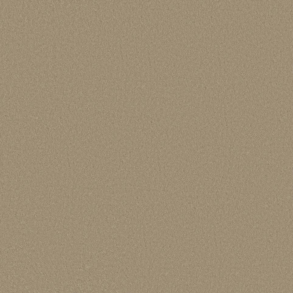 Texture Cork Board Beige/Tan Carpet