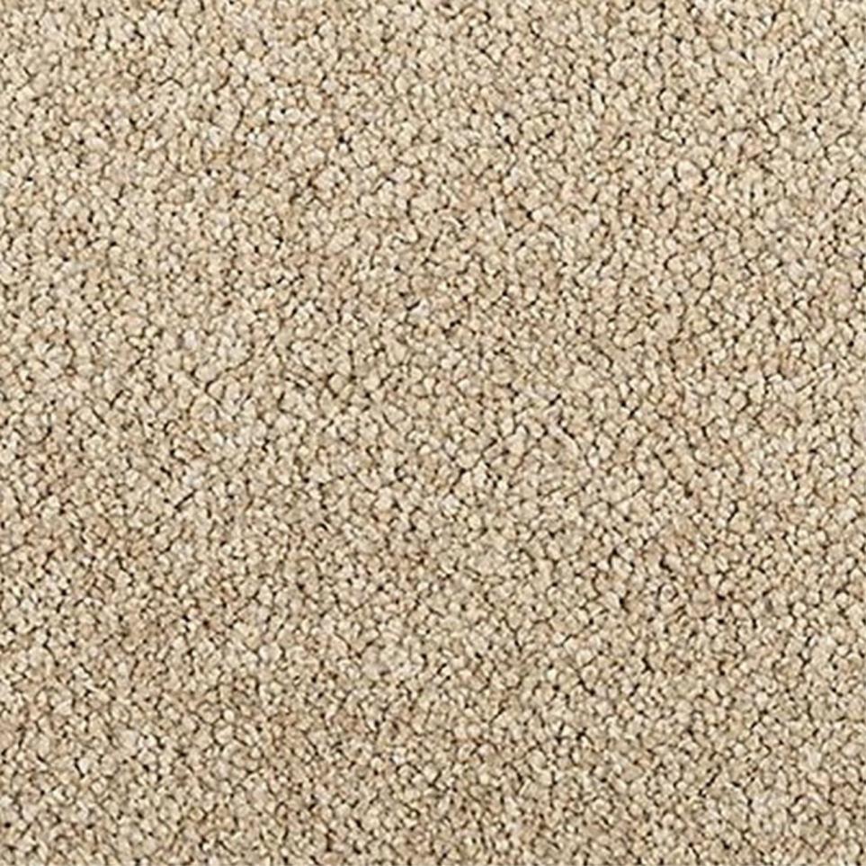 Textured Saxony Stetson Beige/Tan Carpet