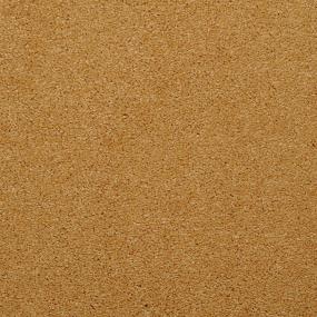 Casual Texture Deco Orange Carpet
