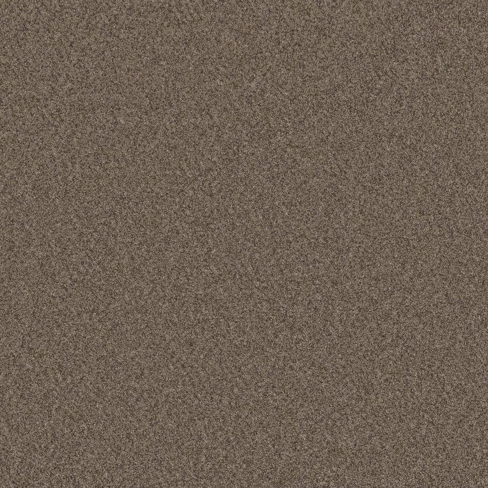 Textured Saxony Traveled Path Brown Carpet