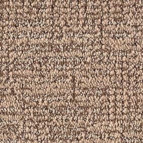 Pattern Oyster Shell Brown Carpet