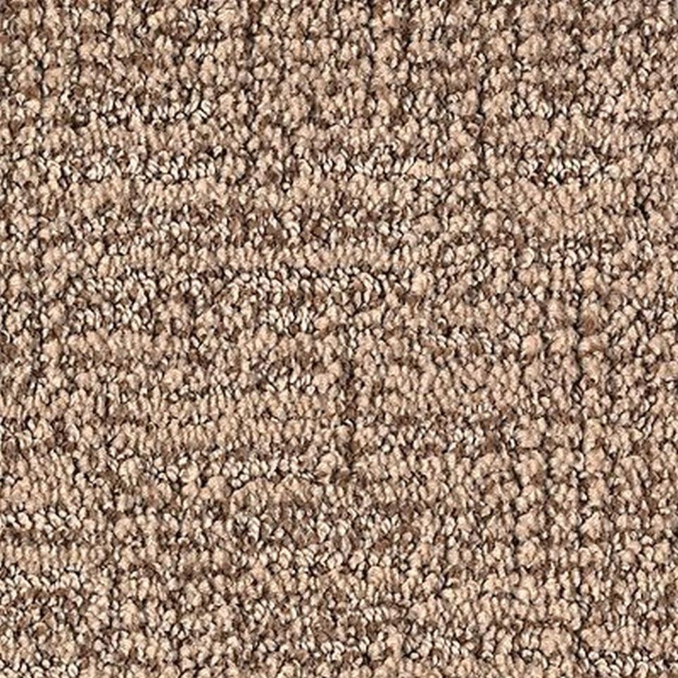 Pattern Oyster Shell Brown Carpet