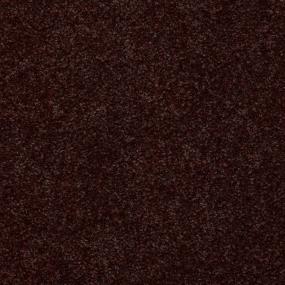 Textured Saxony Tar Brown Carpet