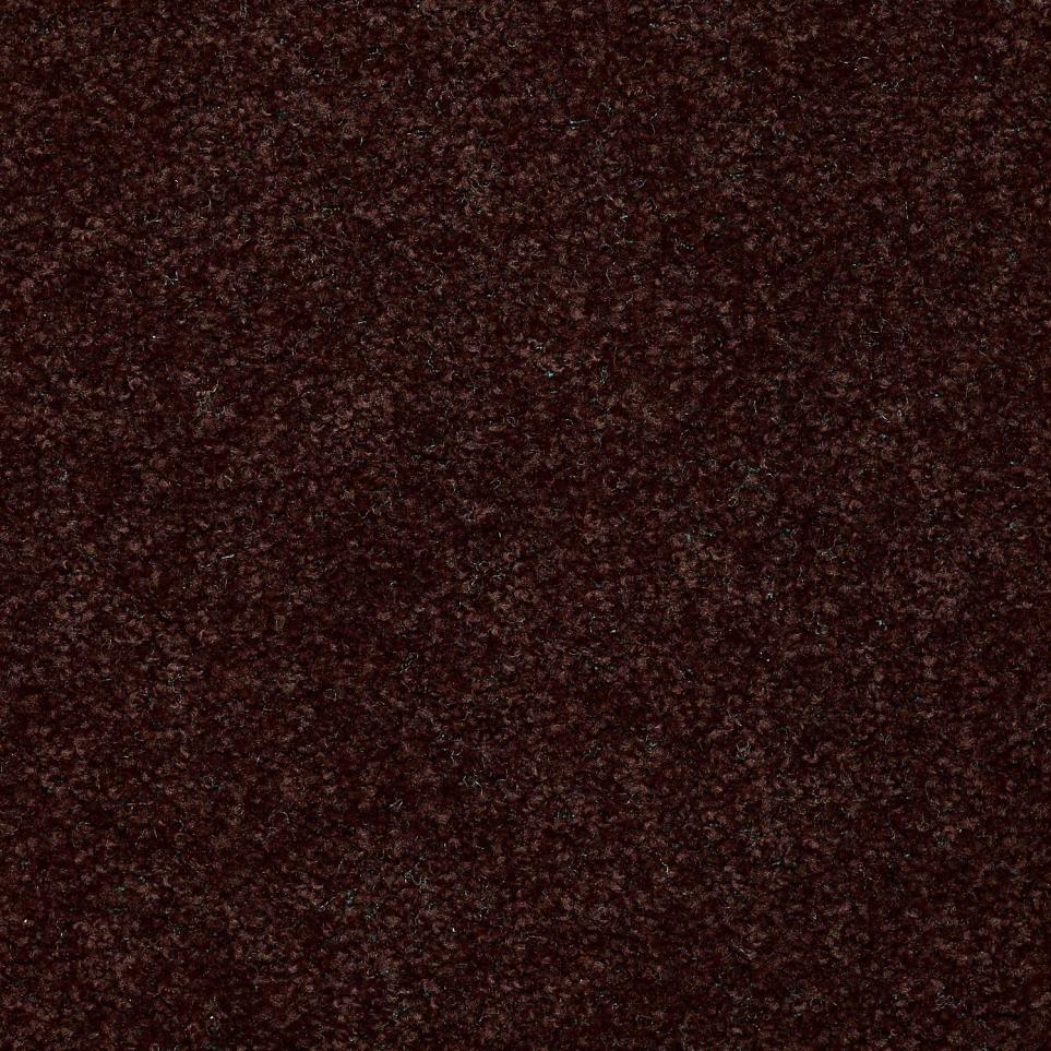 Textured Saxony Tar Brown Carpet