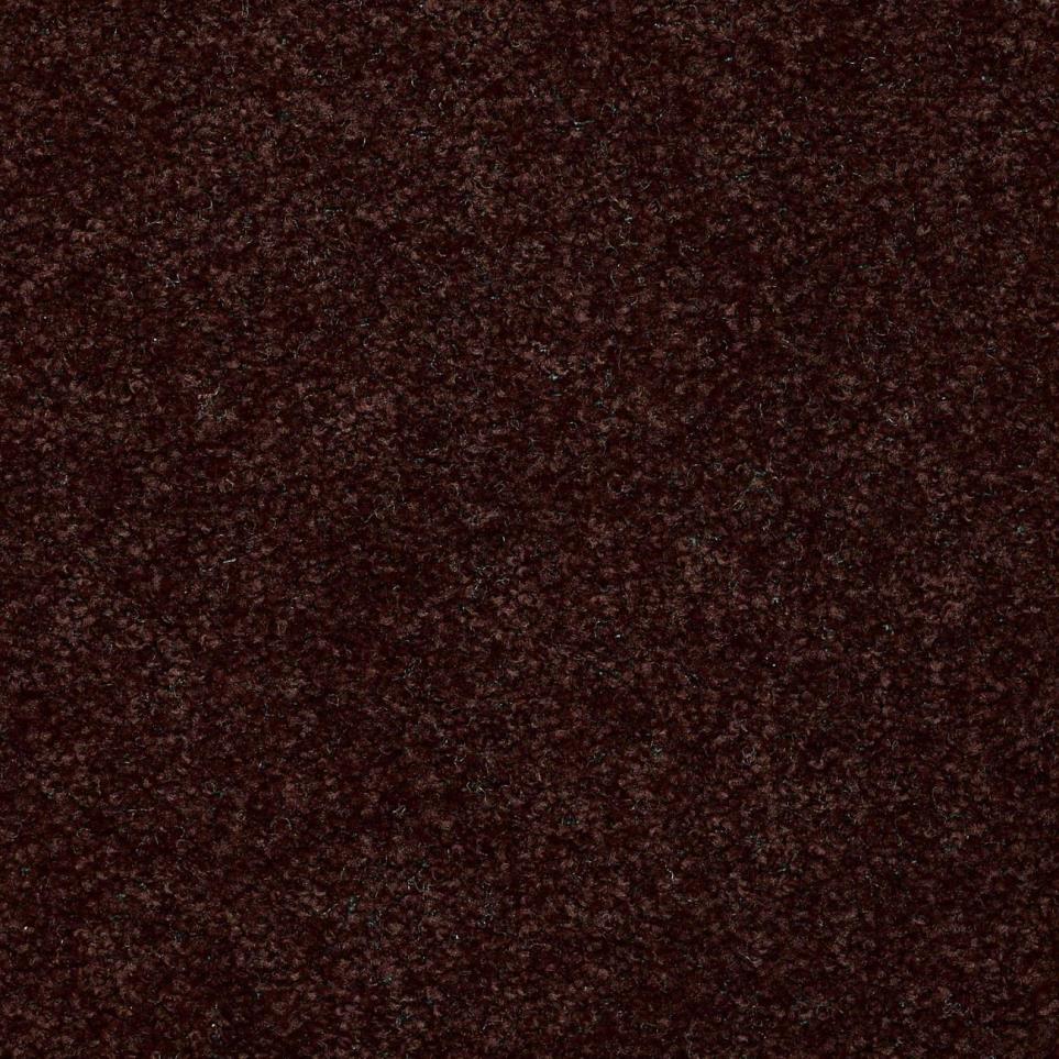 Textured Saxony Tar Brown Carpet