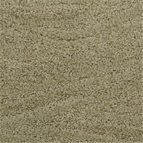 Pattern Creekside Beige/Tan Carpet