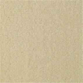 Pattern Ramie Beige/Tan Carpet