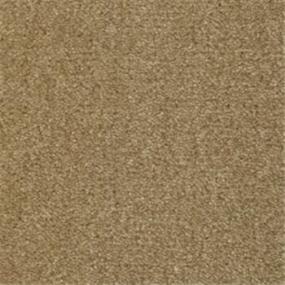 Pattern Dapper Tan Beige/Tan Carpet