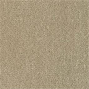 Pattern Gallery Taupe Beige/Tan Carpet