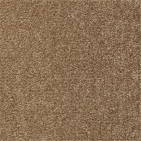 Pattern Sable Brown Carpet