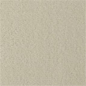 Pattern Alabaster Beige/Tan Carpet