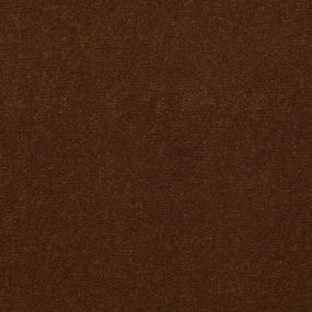 Cut Pile Molasses Brown Carpet