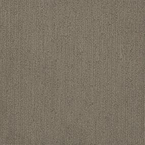 Pattern Intrigued Brown Carpet