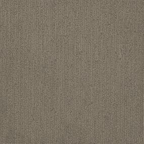 Pattern Intrigued Brown Carpet
