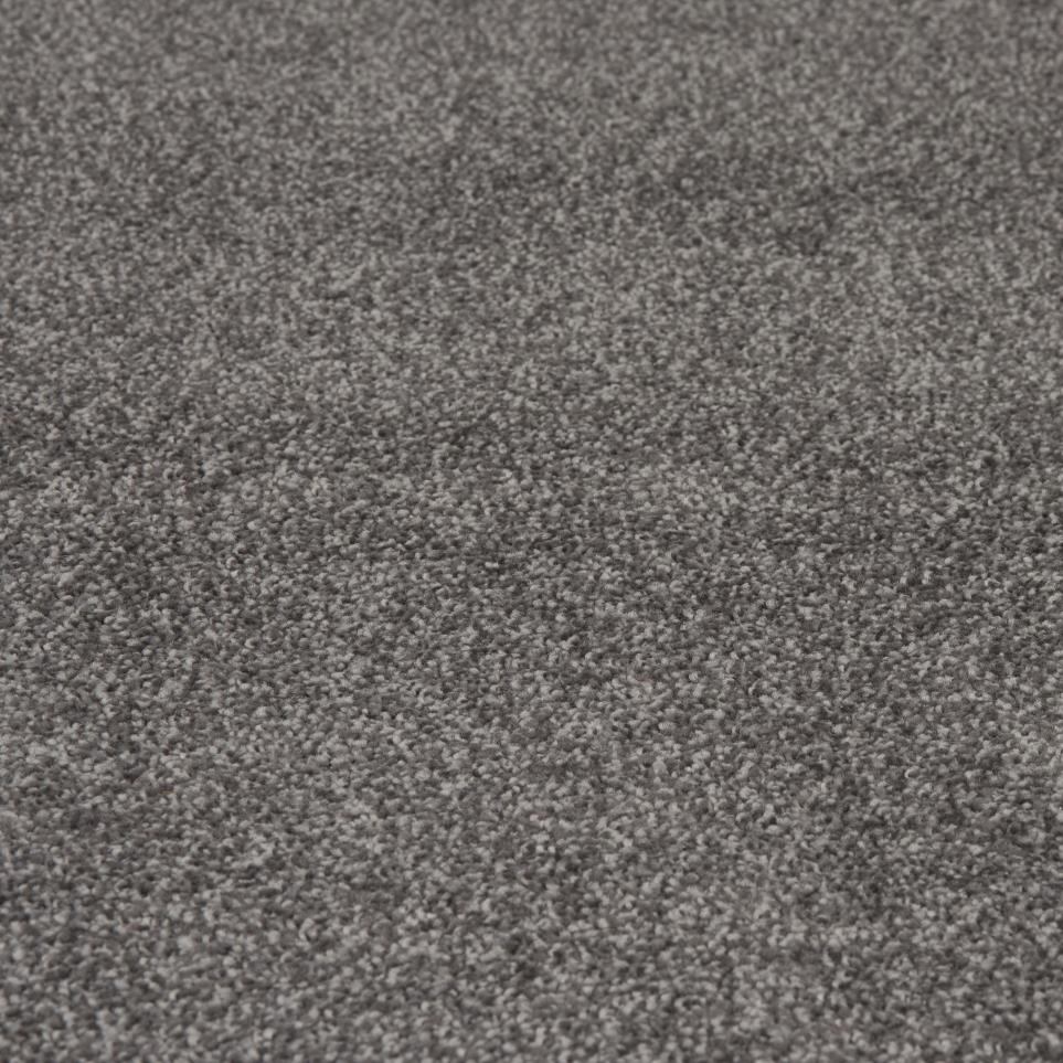 Textured Saxony Greyhound Brown Carpet