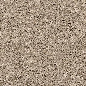 Texture Sauna Brown Carpet