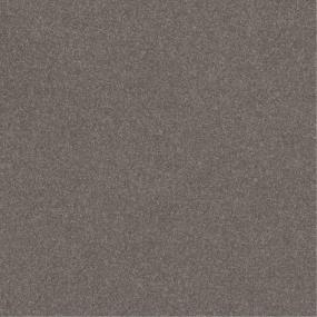 Plush Saxony Bridle Beige/Tan Carpet