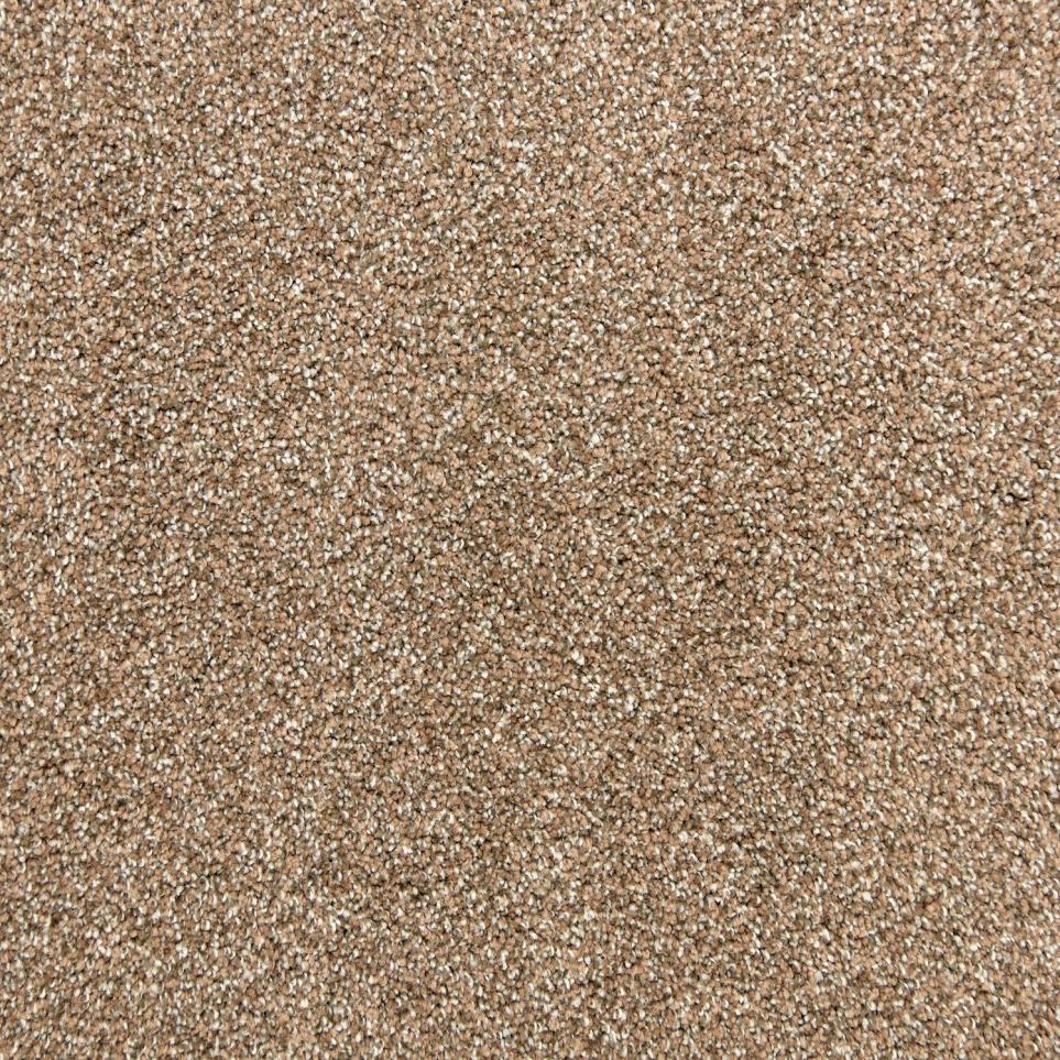 Texture Chocolate Brown Carpet
