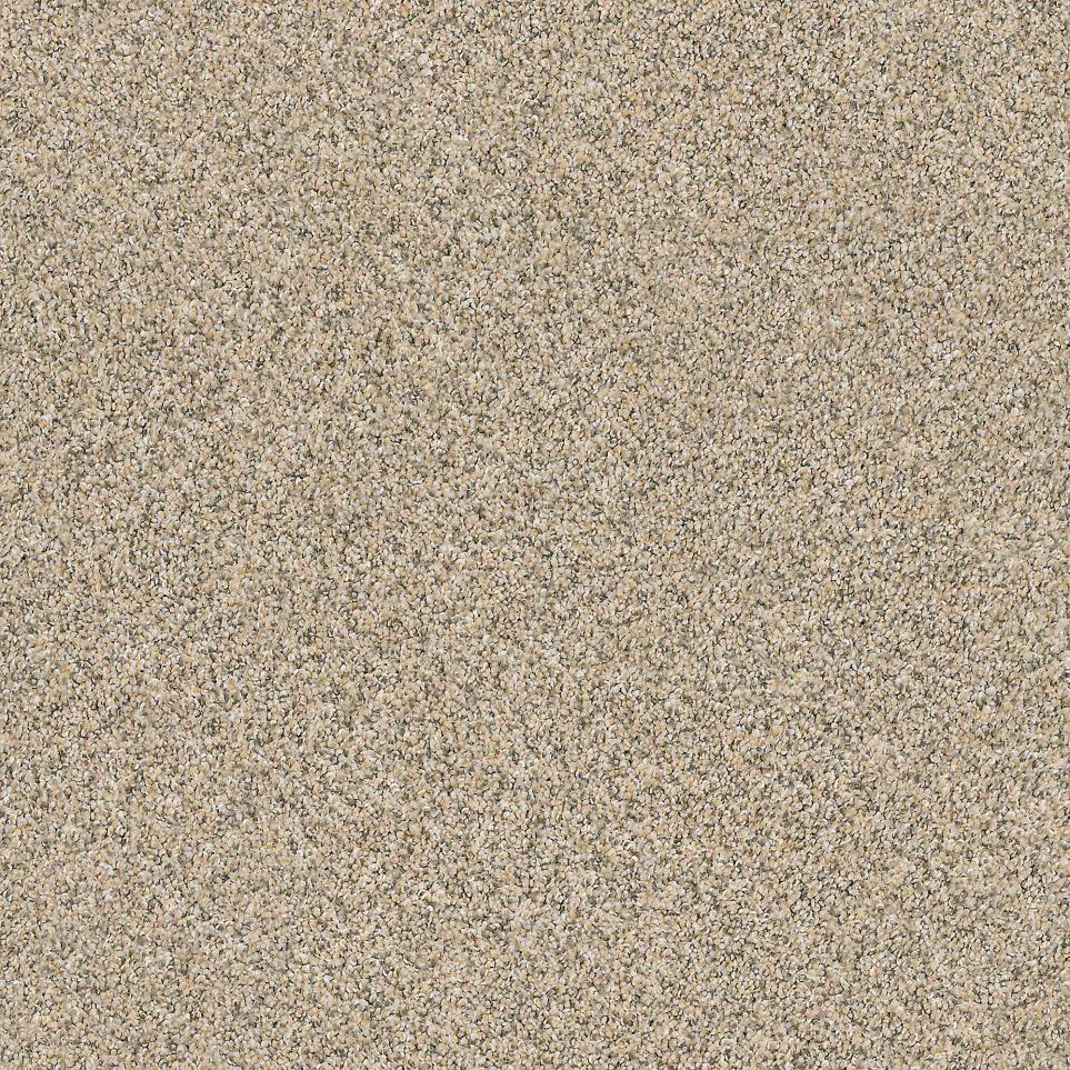 Texture Medallion  Carpet