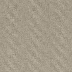 Pattern Ambassador Beige/Tan Carpet