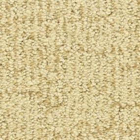 Pattern Ambassador Beige/Tan Carpet