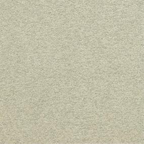 Casual Texture Iconic Beige/Tan Carpet