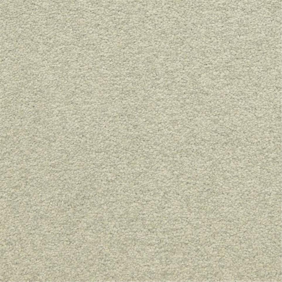Casual Texture Iconic Beige/Tan Carpet
