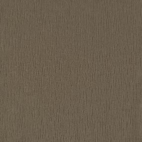 Pattern Sienna Beige/Tan Carpet