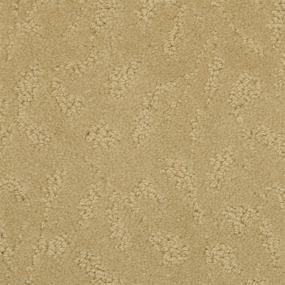 Pattern Rich Tan Beige/Tan Carpet