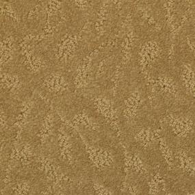 Pattern Sierra                         Beige/Tan Carpet