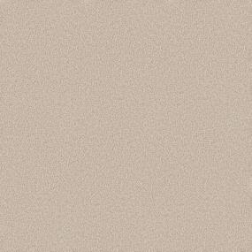 Plush Saxony Warm Tan Beige/Tan Carpet