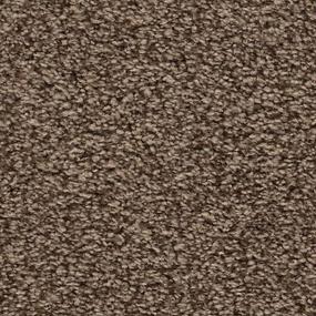 Textured Saxony Tapestry Brown Carpet