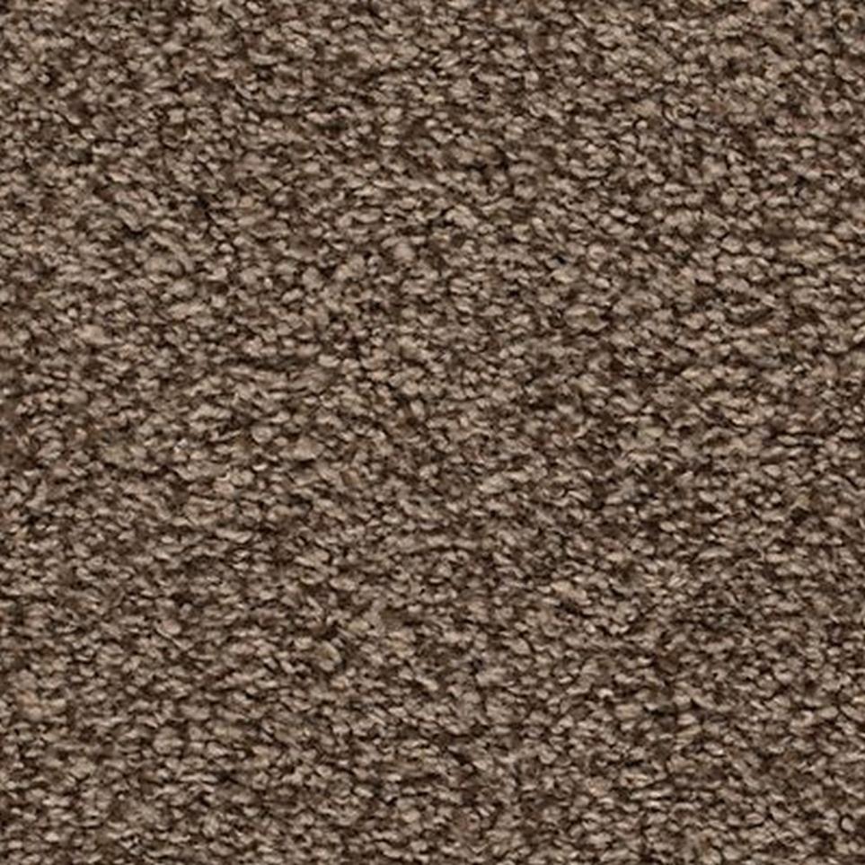 Textured Saxony Tapestry Brown Carpet