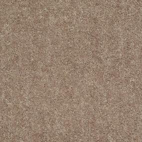 Textured Saxony Sombrero Brown Carpet