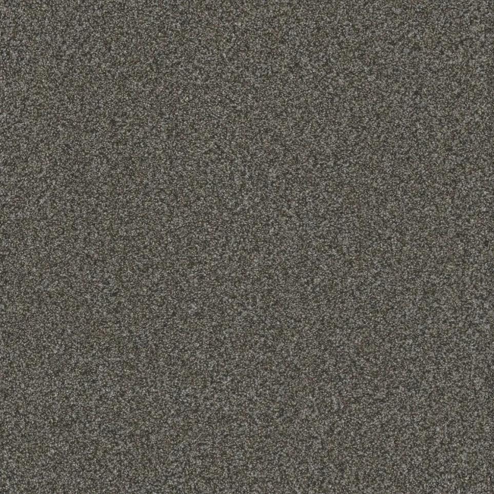 Texture Passion Play Brown Carpet
