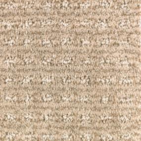 Pattern Desert Villa Beige/Tan Carpet