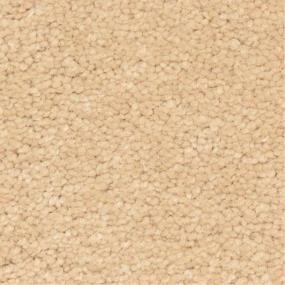 Casual Texture De La Piel Beige/Tan Carpet