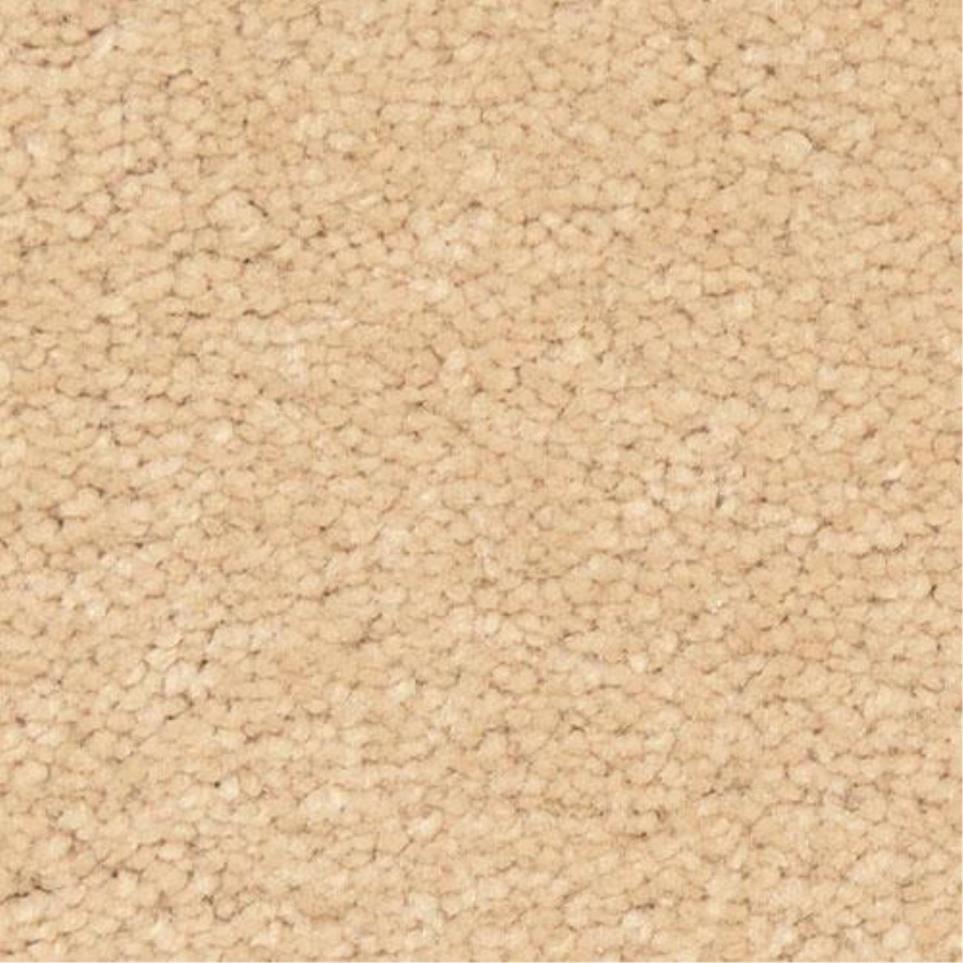 Casual Texture De La Piel Beige/Tan Carpet