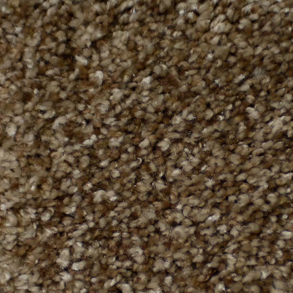 Frieze Tenderfoot Brown Carpet