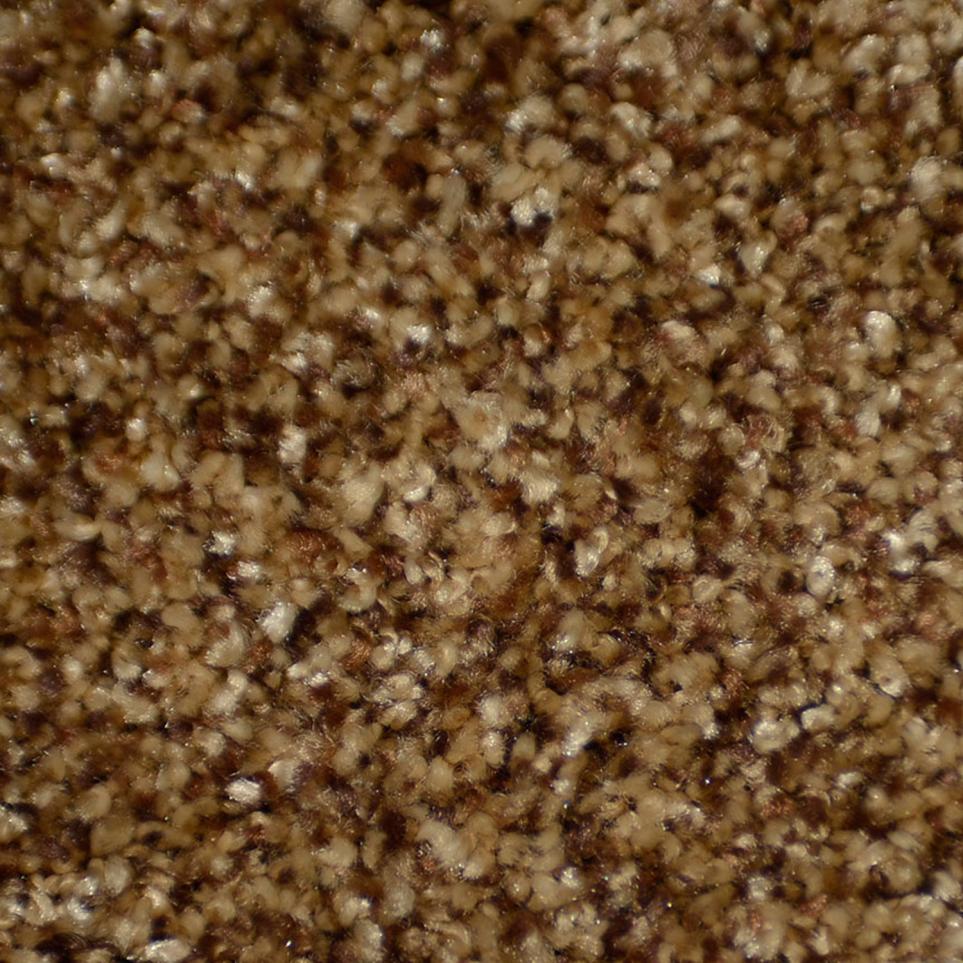 Frieze Allure Brown Carpet
