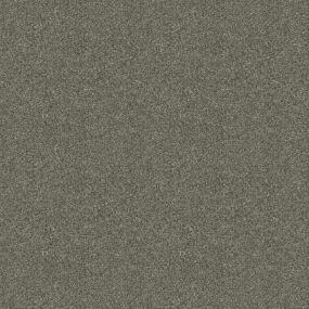 Textured Saxony Passport Gray Carpet
